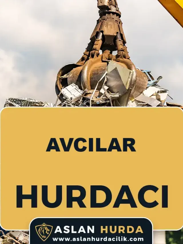 Avcılar Hurdacı